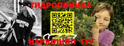 гидра Нальчик