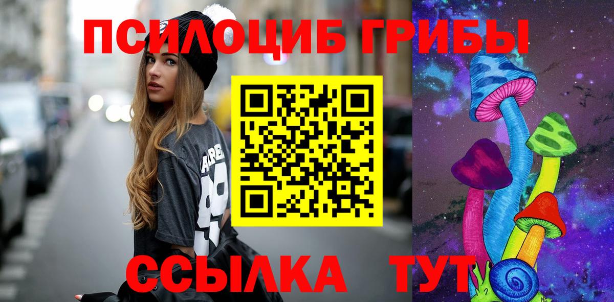 Галлюциногенные грибы Ессентуки